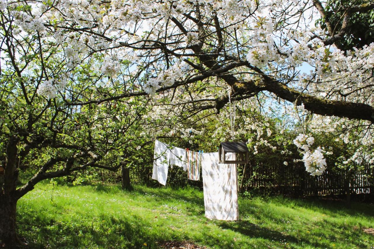 Penzion Pod Kalvarii Hotel Úštěk Bagian luar foto